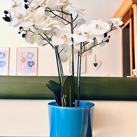 Flower Apart Apartamento *