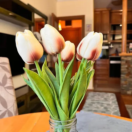 Apartamento Flower Apart